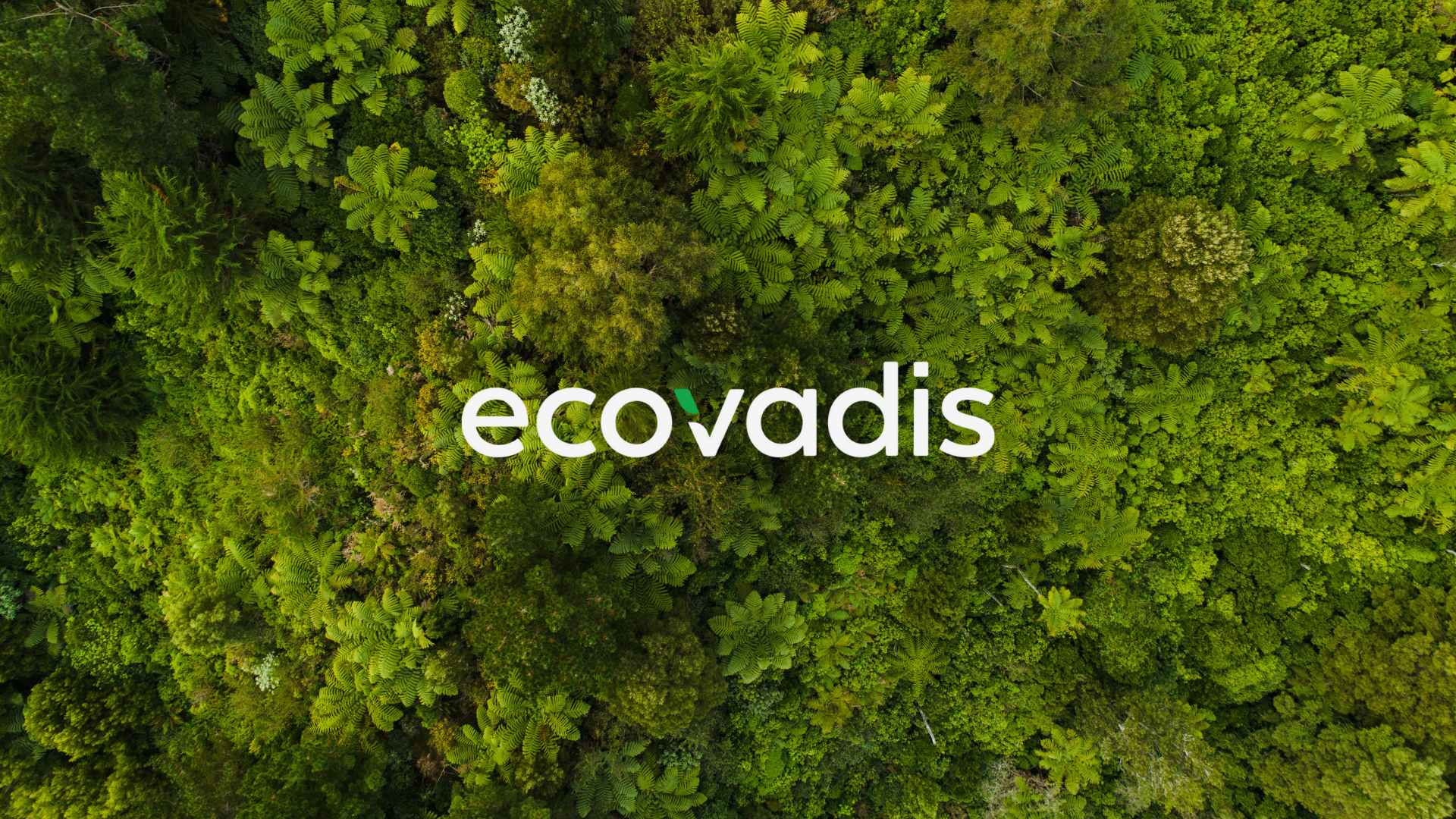 Ecovadis Danışmanlığı 